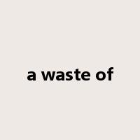 a waste of是什么意思