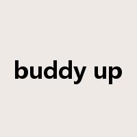 buddy up是什么意思