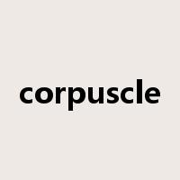 corpuscle是什么意思