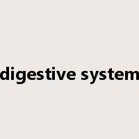 digestive system是什么意思