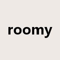 roomy是什么意思