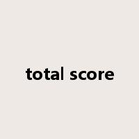 total score是什么意思