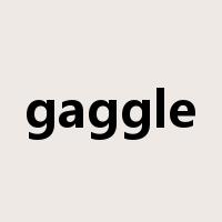 gaggle是什么意思