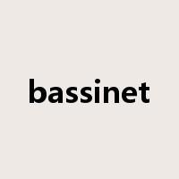 bassinet是什么意思