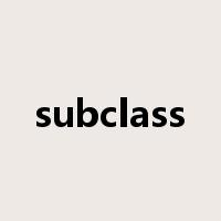 subclass是什么意思