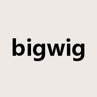 bigwig是什么意思