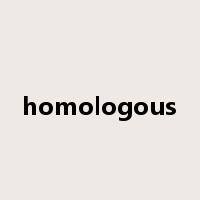 homologous是什么意思