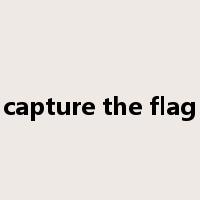 capture the flag是什么意思