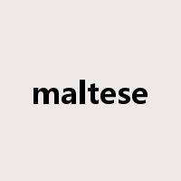 maltese是什么意思