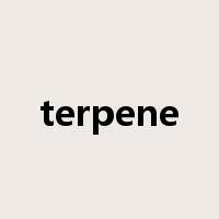 terpene是什么意思