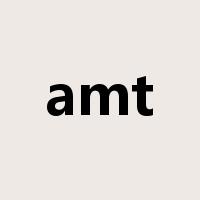 amt是什么意思