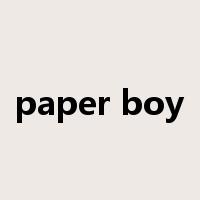 paper boy是什么意思