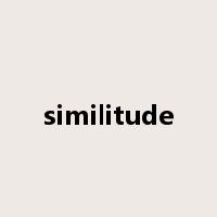 similitude是什么意思