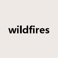 wildfires是什么意思