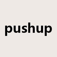 pushup是什么意思