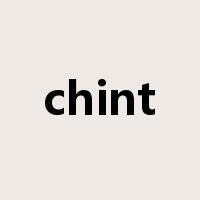 chint是什么意思