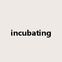 incubating是什么意思