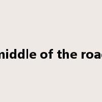 middle of the road是什么意思
