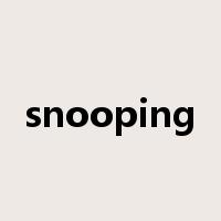 snooping是什么意思