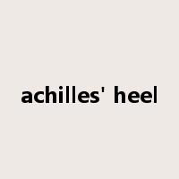 achilles' heel是什么意思