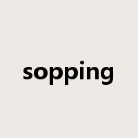 sopping是什么意思