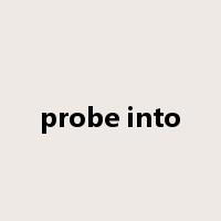 probe into是什么意思
