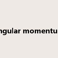 angular momentum是什么意思