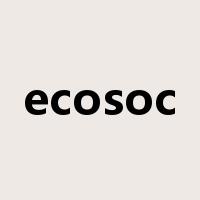 ecosoc是什么意思