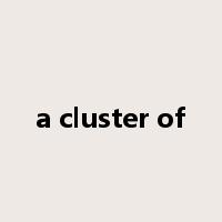 a cluster of是什么意思