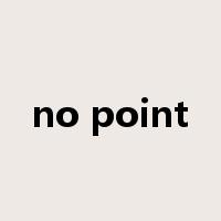 no point是什么意思