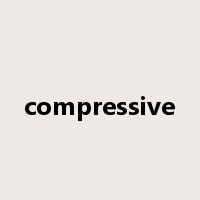 compressive是什么意思