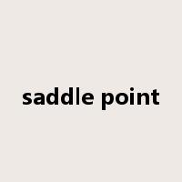 saddle point是什么意思