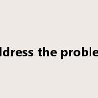 address the problem是什么意思