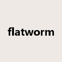 flatworm是什么意思