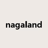 nagaland是什么意思