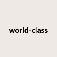 world-class是什么意思