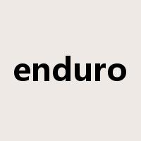enduro是什么意思