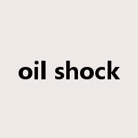 oil shock是什么意思