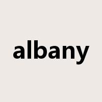 albany是什么意思