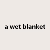a wet blanket是什么意思
