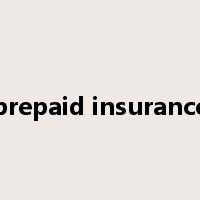 prepaid insurance是什么意思
