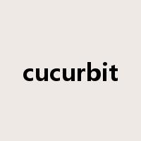 cucurbit是什么意思