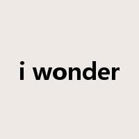 i wonder是什么意思