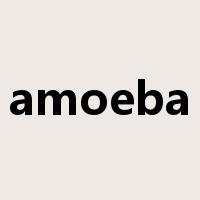 amoeba是什么意思