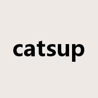 catsup是什么意思