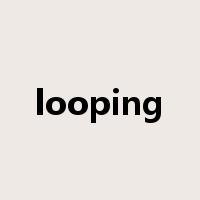 looping是什么意思