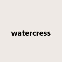 watercress是什么意思