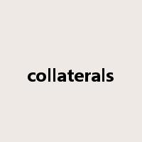 collaterals是什么意思