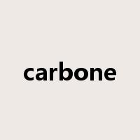 carbone是什么意思