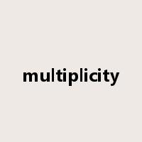 multiplicity是什么意思